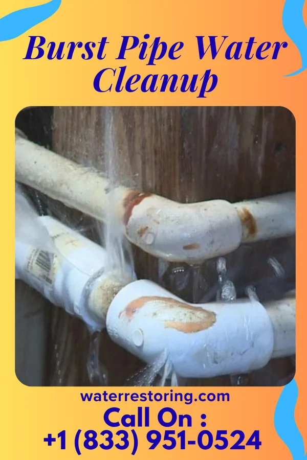 Burst Pipe Water Cleanup in Shoreham, NY
