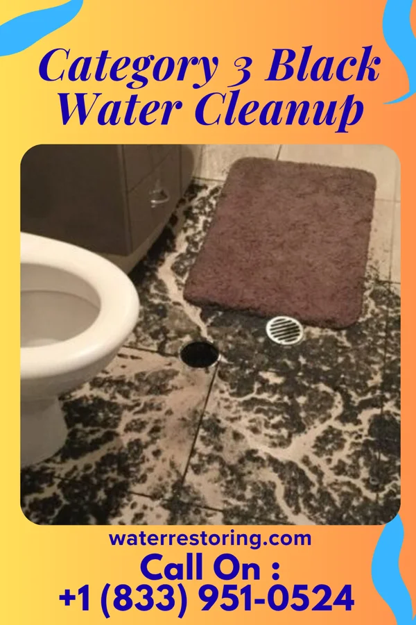 Category 3 Black Water Cleanup in Shoreham, NY