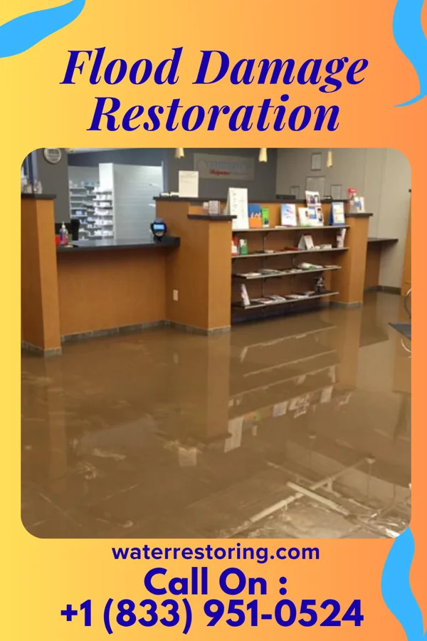 Flood Damage Restoration in Shoreham, NY