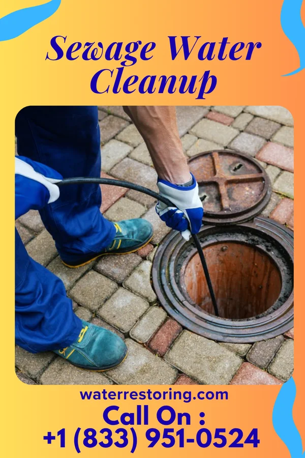 Sewage Water Cleanup in Shoreham, NY