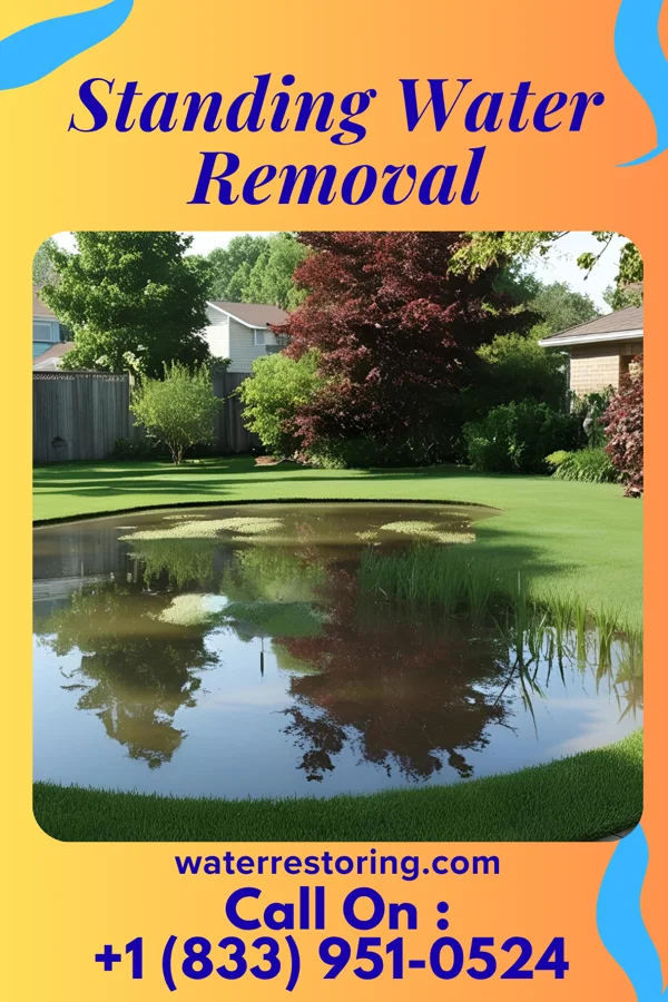 Standing Water Removal in Shoreham, NY